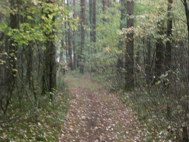 CTF Celle Strecke 028
